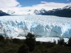 IMG_0060.JPG