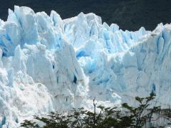 IMG_0066.JPG