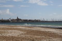 IMG_2511.JPG