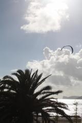 IMG_2519.JPG