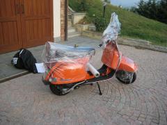 IMG-8648.jpg