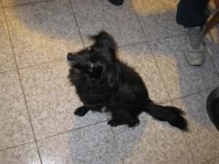 IMG_8676.jpg