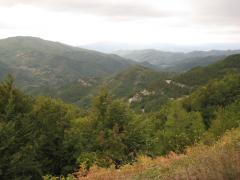 IMG_8758.jpg