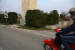 6Y7A8986.JPG