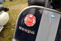 SIB-18(96).jpg