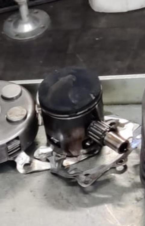 B78AA696-1C71-49ED-89CF-B9EA750E4E5D.jpeg