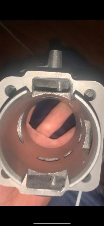 IMG_2669.thumb.png.e479ad1358f344b2f6e365b844a0b030.png